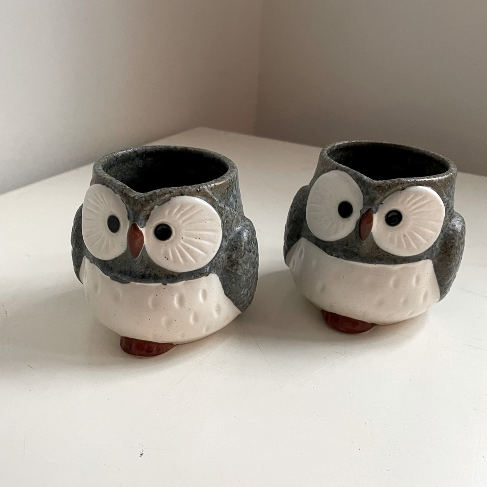 Cute Owl Mugs, sold as pair